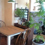 Cafe VARIE ギャラリー