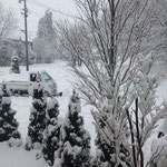 Cafe VARIE ギャラリー